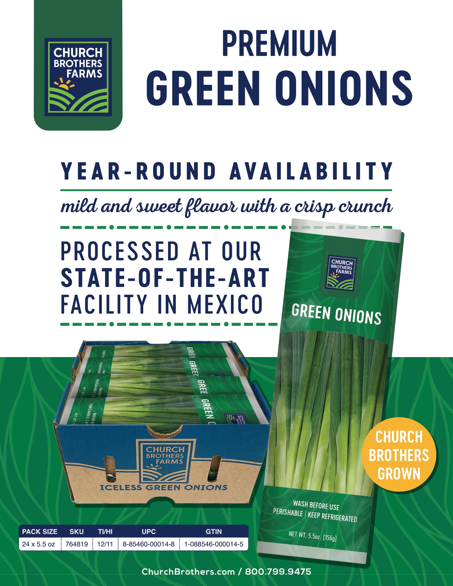 CB_GreenOnions_Retail_SellSheet_12_4_24