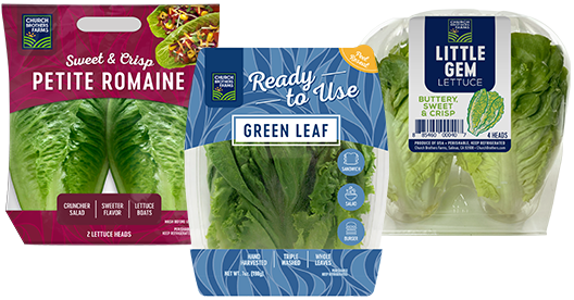 Specialty-Lettuce-group-8.22 Specialty-Lettuce-group-8.22