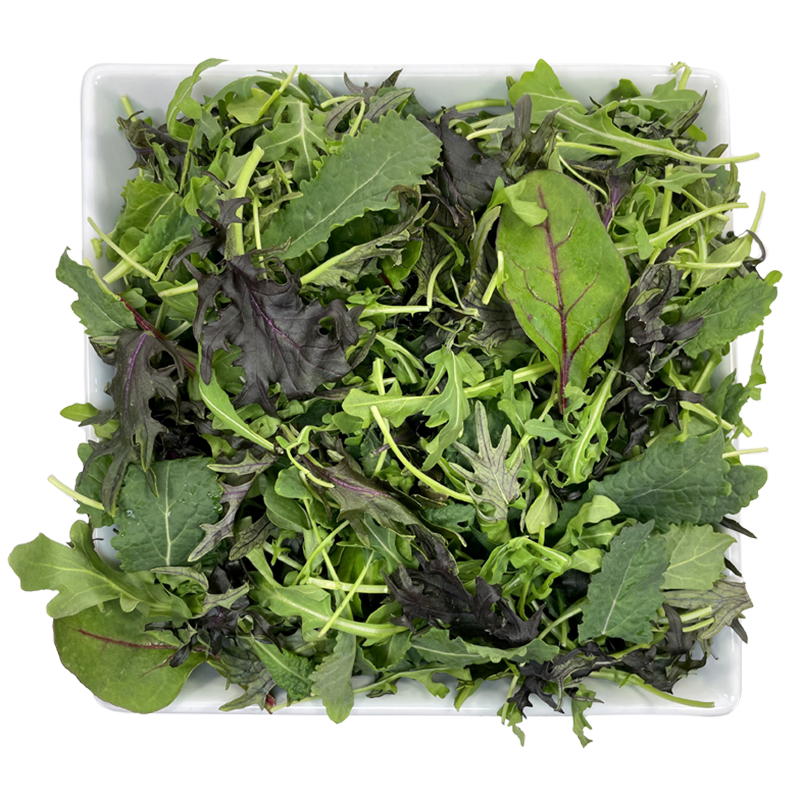 Urban-Blend-bowl_5801 Urban-Blend-bowl_5801