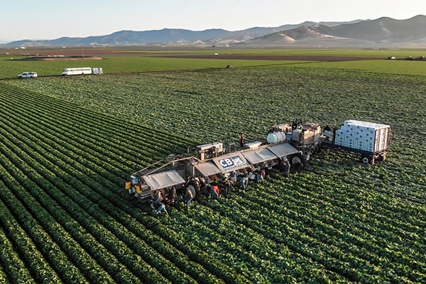 churchbrothers_harvesting_0