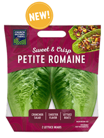 petite-romaine-NEW-sticker