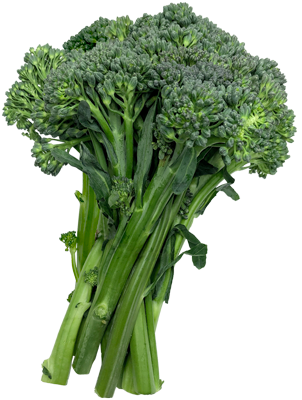 sweet-baby-bunch-2022-item-2