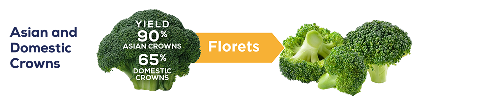 broccoli-yield