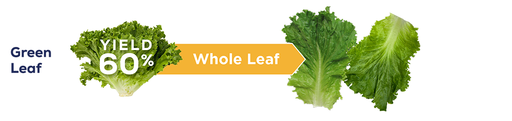 green-leaf-yield